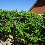 Dikstig - D8l - In Auf Sylt By Interhome