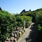 Dikstig - D8l - In Auf Sylt By Interhome Kampen